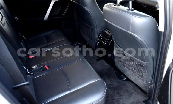 Buy Used Toyota Prado White Car in Maseru in Maseru Buy Used Toyota Prado White Car in Maseru in Maseru
