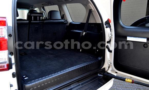 Buy Used Toyota Prado White Car in Maseru in Maseru Buy Used Toyota Prado White Car in Maseru in Maseru