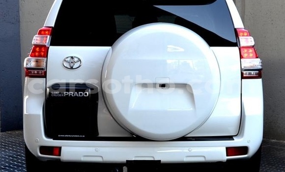 Buy Used Toyota Prado White Car in Maseru in Maseru Buy Used Toyota Prado White Car in Maseru in Maseru