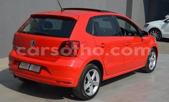 اشتري مستعمل Volkswagen Polo Red سيارة في Maseru في Maseru اشتري مستعمل Volkswagen Polo Red سيارة في Maseru في Maseru