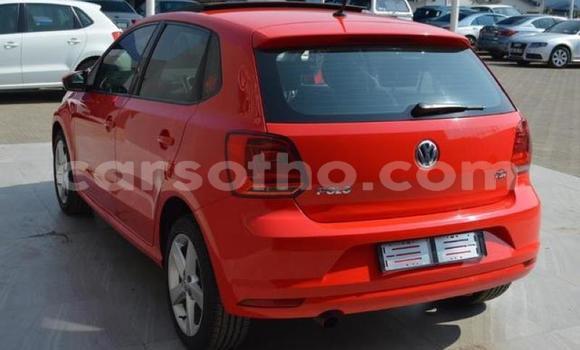 اشتري مستعمل Volkswagen Polo Red سيارة في Maseru في Maseru اشتري مستعمل Volkswagen Polo Red سيارة في Maseru في Maseru