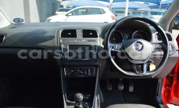 اشتري مستعمل Volkswagen Polo Red سيارة في Maseru في Maseru اشتري مستعمل Volkswagen Polo Red سيارة في Maseru في Maseru