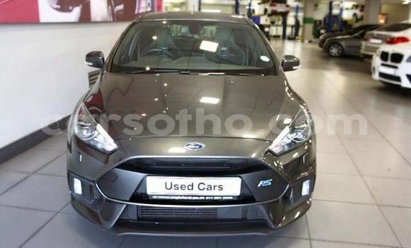 Buy Used Ford Focus Beige Car in Maseru in Maseru Buy Used Ford Focus Beige Car in Maseru in Maseru