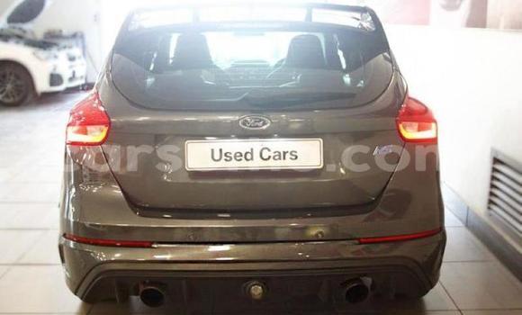 Buy Used Ford Focus Beige Car in Maseru in Maseru Buy Used Ford Focus Beige Car in Maseru in Maseru