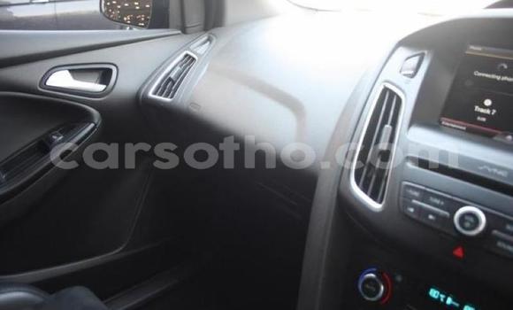 Buy Used Ford Focus Beige Car in Maseru in Maseru Buy Used Ford Focus Beige Car in Maseru in Maseru