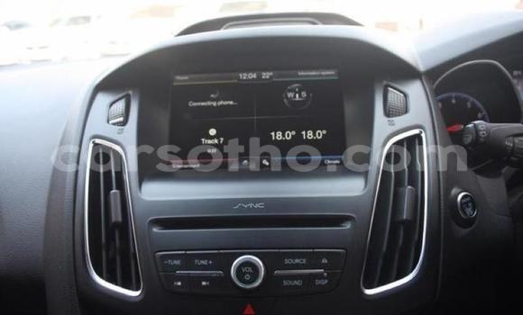 Buy Used Ford Focus Beige Car in Maseru in Maseru Buy Used Ford Focus Beige Car in Maseru in Maseru