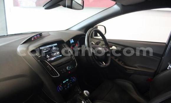 Buy Used Ford Focus Beige Car in Maseru in Maseru Buy Used Ford Focus Beige Car in Maseru in Maseru