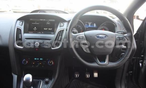 Buy Used Ford Focus Beige Car in Maseru in Maseru Buy Used Ford Focus Beige Car in Maseru in Maseru