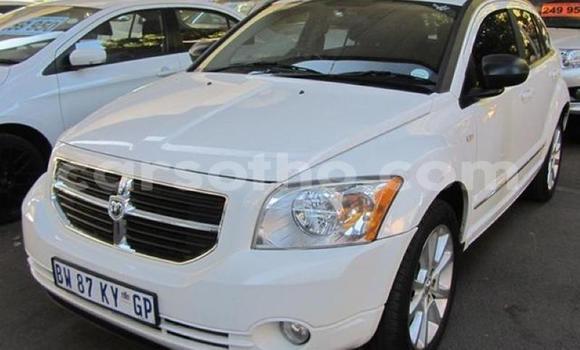 اشتري مستعمل Dodge Caliber Silver سيارة في Maseru في Maseru اشتري مستعمل Dodge Caliber Silver سيارة في Maseru في Maseru