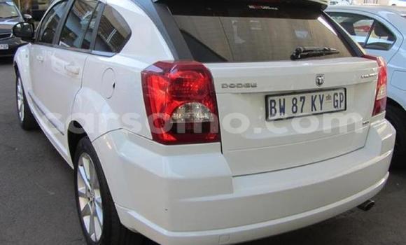 اشتري مستعمل Dodge Caliber Silver سيارة في Maseru في Maseru اشتري مستعمل Dodge Caliber Silver سيارة في Maseru في Maseru