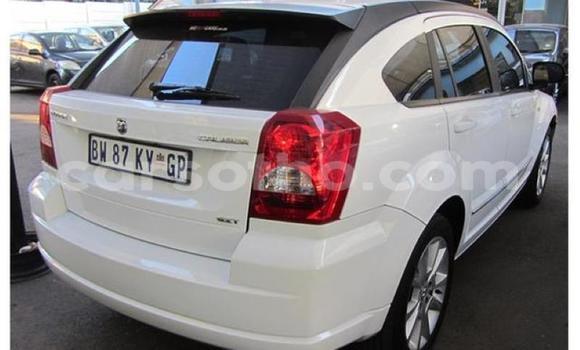اشتري مستعمل Dodge Caliber Silver سيارة في Maseru في Maseru اشتري مستعمل Dodge Caliber Silver سيارة في Maseru في Maseru