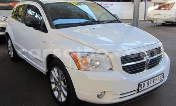اشتري مستعمل Dodge Caliber Silver سيارة في Maseru في Maseru اشتري مستعمل Dodge Caliber Silver سيارة في Maseru في Maseru