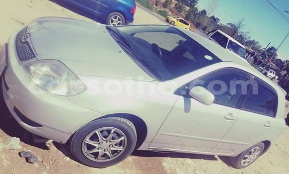 Acheter Occasion Voiture Toyota Runx Gris à Maseru, Maseru Acheter Occasion Voiture Toyota Runx Gris à Maseru, Maseru