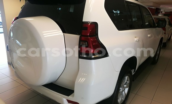 Buy Used Toyota Prado White Car in Mohale's Hoek in Mohale's Hoek Buy Used Toyota Prado White Car in Mohale's Hoek in Mohale's Hoek