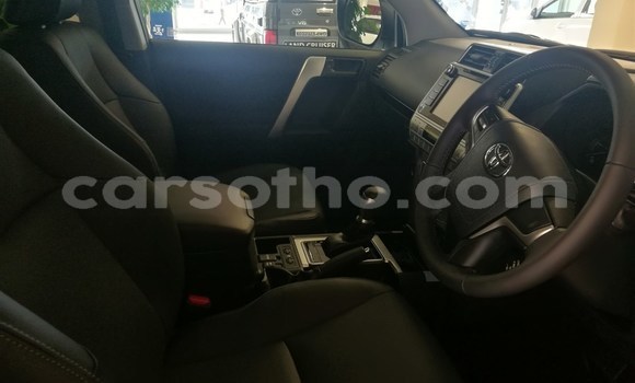 Buy Used Toyota Prado White Car in Mohale's Hoek in Mohale's Hoek Buy Used Toyota Prado White Car in Mohale's Hoek in Mohale's Hoek