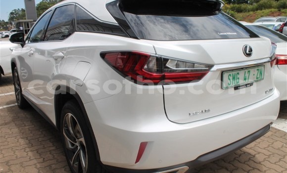 اشتري مستعمل Lexus RX White سيارة في Qacha's Nek في Quthing اشتري مستعمل Lexus RX White سيارة في Qacha's Nek في Quthing