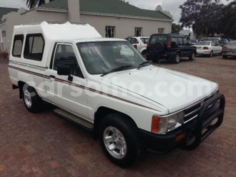 Big with watermark 11