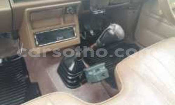 Acheter Occasion Voiture Toyota Hilux Blanc à Mafeteng, Mafeteng Acheter Occasion Voiture Toyota Hilux Blanc à Mafeteng, Mafeteng
