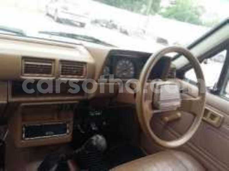 Big with watermark 15