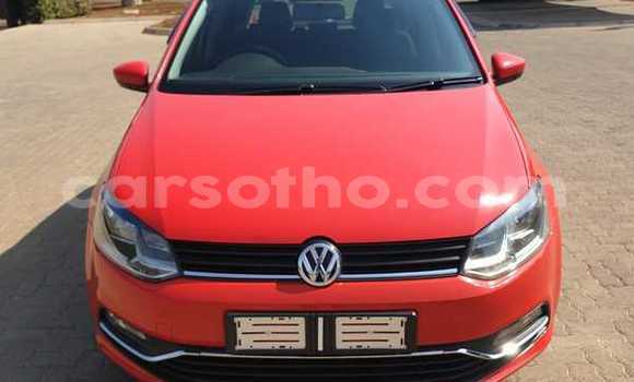 Acheter Occasion Voiture Volkswagen Polo Rouge à Hlotse, Leribe Acheter Occasion Voiture Volkswagen Polo Rouge à Hlotse, Leribe