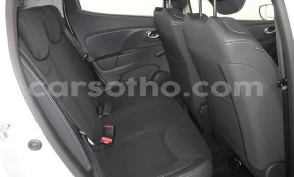 Buy Used Renault Clio White Car in Maseru in Maseru Buy Used Renault Clio White Car in Maseru in Maseru