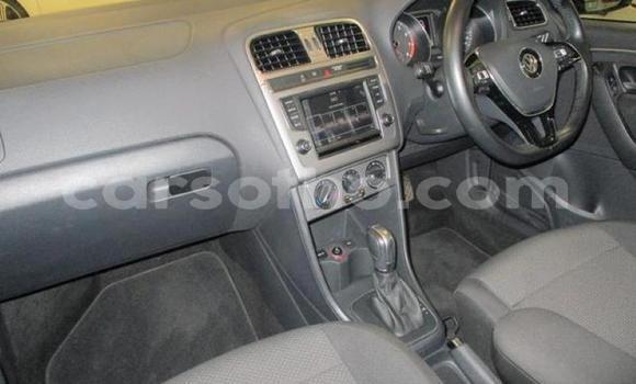 Buy Used Volkswagen Polo Silver Car in Hlotse in Leribe Buy Used Volkswagen Polo Silver Car in Hlotse in Leribe