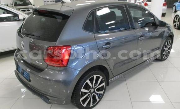 Buy Used Volkswagen Polo Silver Car in Hlotse in Leribe Buy Used Volkswagen Polo Silver Car in Hlotse in Leribe