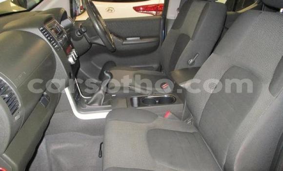 اشتري مستعمل Nissan Navara Blue سيارة في Hlotse في Leribe اشتري مستعمل Nissan Navara Blue سيارة في Hlotse في Leribe