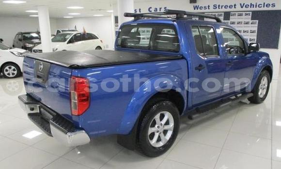 اشتري مستعمل Nissan Navara Blue سيارة في Hlotse في Leribe اشتري مستعمل Nissan Navara Blue سيارة في Hlotse في Leribe