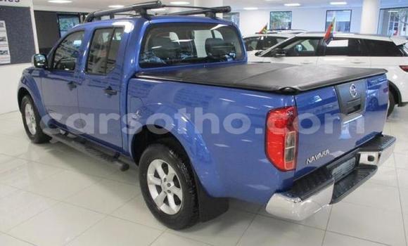 اشتري مستعمل Nissan Navara Blue سيارة في Hlotse في Leribe اشتري مستعمل Nissan Navara Blue سيارة في Hlotse في Leribe