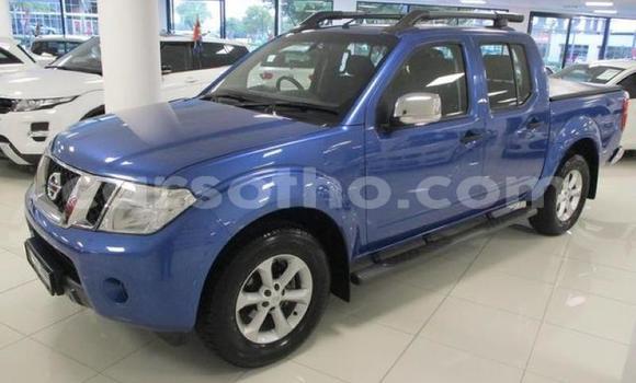 اشتري مستعمل Nissan Navara Blue سيارة في Hlotse في Leribe اشتري مستعمل Nissan Navara Blue سيارة في Hlotse في Leribe