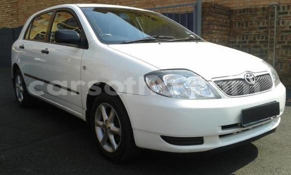 Acheter Occasion Voiture Toyota 2000GT Blanc à Maputsoa, Leribe Acheter Occasion Voiture Toyota 2000GT Blanc à Maputsoa, Leribe