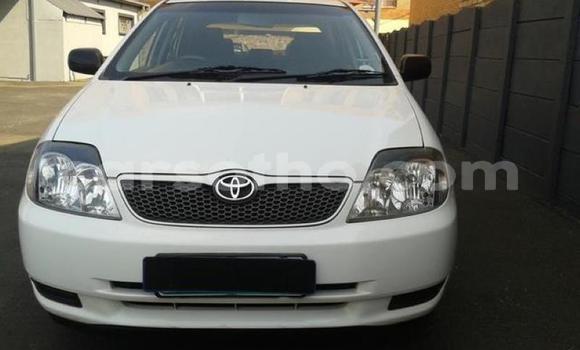 Acheter Occasion Voiture Toyota 2000GT Blanc à Maputsoa, Leribe Acheter Occasion Voiture Toyota 2000GT Blanc à Maputsoa, Leribe