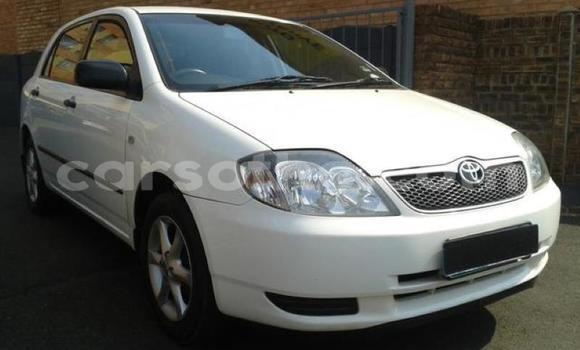 Acheter Occasion Voiture Toyota 2000GT Blanc à Maputsoa, Leribe Acheter Occasion Voiture Toyota 2000GT Blanc à Maputsoa, Leribe