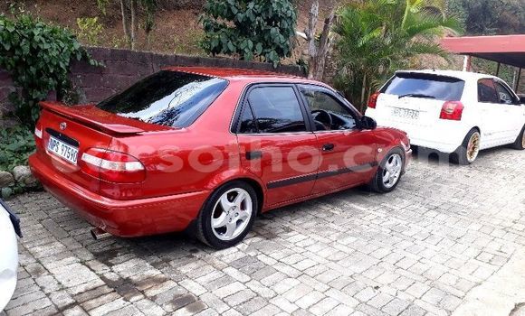 Acheter Occasion Voiture Toyota Corolla Rouge à Hlotse, Leribe Acheter Occasion Voiture Toyota Corolla Rouge à Hlotse, Leribe