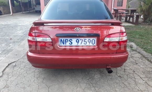 Acheter Occasion Voiture Toyota Corolla Rouge à Hlotse, Leribe Acheter Occasion Voiture Toyota Corolla Rouge à Hlotse, Leribe