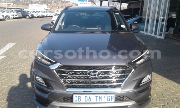 اشتري مستعمل Hyundai Tucson Other سيارة في Maseru في Maseru اشتري مستعمل Hyundai Tucson Other سيارة في Maseru في Maseru
