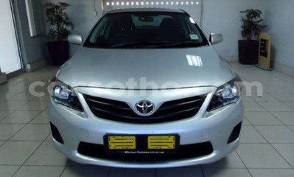 Acheter Occasion Voiture Toyota Corolla Gris à Hlotse, Leribe Acheter Occasion Voiture Toyota Corolla Gris à Hlotse, Leribe