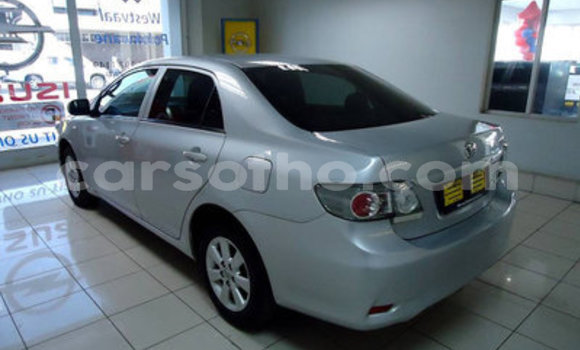 Acheter Occasion Voiture Toyota Corolla Gris à Hlotse, Leribe Acheter Occasion Voiture Toyota Corolla Gris à Hlotse, Leribe