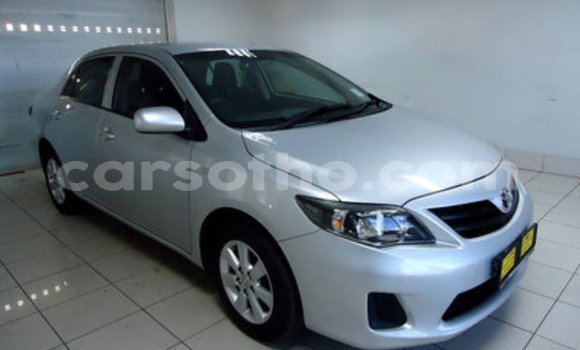 Acheter Occasion Voiture Toyota Corolla Gris à Hlotse, Leribe Acheter Occasion Voiture Toyota Corolla Gris à Hlotse, Leribe
