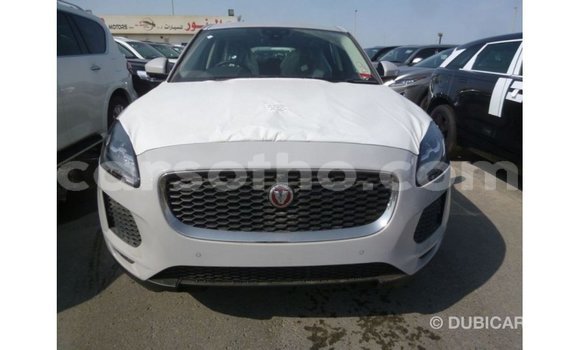 Sayi Imported Jaguar E-Pace White Mota in Import - Dubai a Maseru Sayi Imported Jaguar E-Pace White Mota in Import - Dubai a Maseru