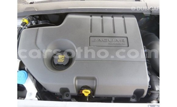 Sayi Imported Jaguar E-Pace White Mota in Import - Dubai a Maseru Sayi Imported Jaguar E-Pace White Mota in Import - Dubai a Maseru