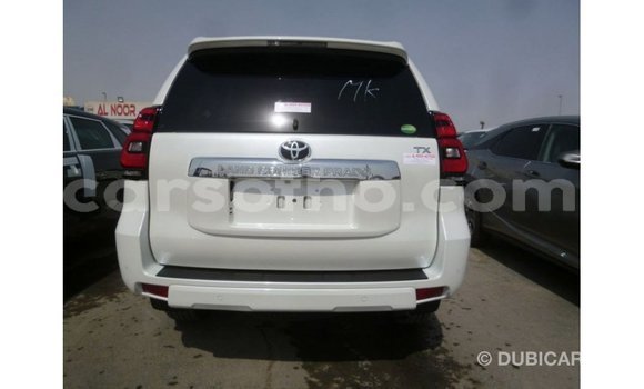 Sayi Imported Toyota Prado White Mota in Import - Dubai a Maseru Sayi Imported Toyota Prado White Mota in Import - Dubai a Maseru