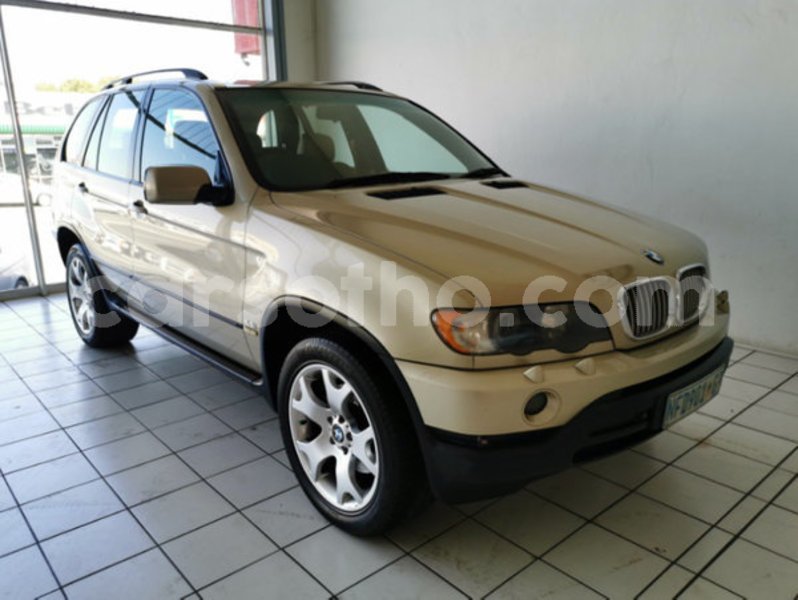 Big with watermark 1