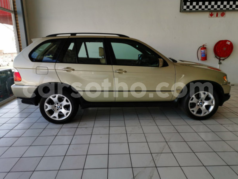 Big with watermark 2