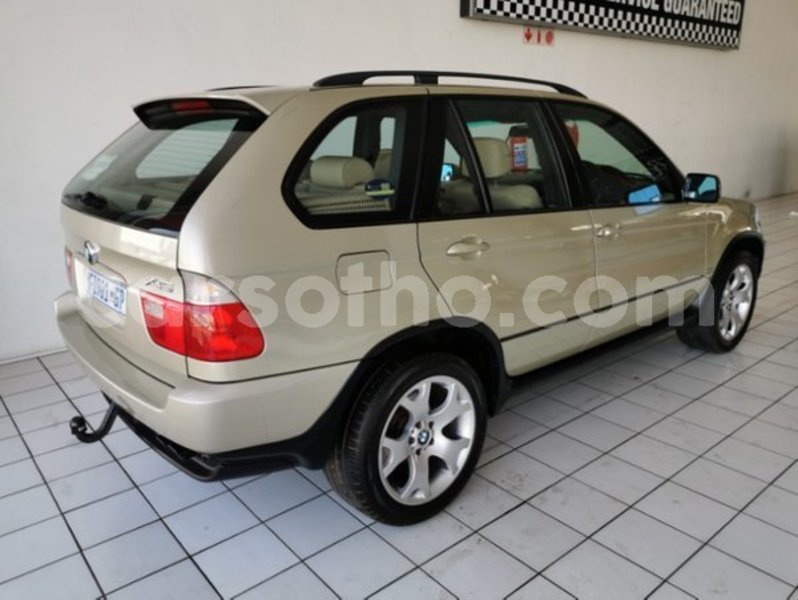 Big with watermark 3