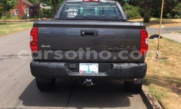 اشتري مستعمل Toyota Hillux Black شاحنة في Peka في Leribe اشتري مستعمل Toyota Hillux Black شاحنة في Peka في Leribe