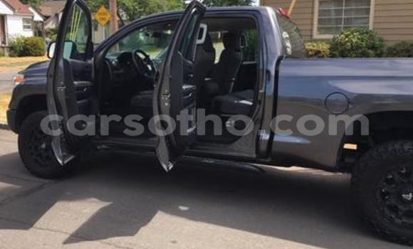 اشتري مستعمل Toyota Hillux Black شاحنة في Peka في Leribe اشتري مستعمل Toyota Hillux Black شاحنة في Peka في Leribe