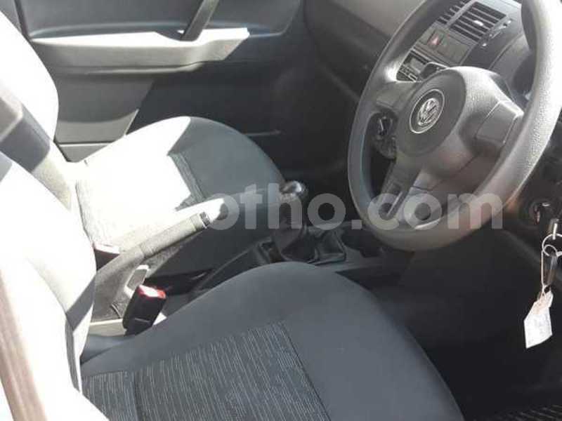 Big with watermark 5