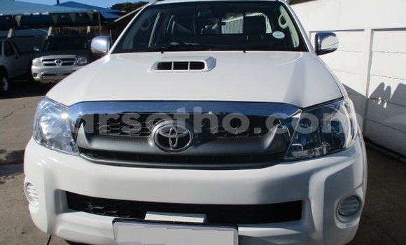 اشتري مستعمل Toyota Hilux White سيارة في Maputsoa في Leribe اشتري مستعمل Toyota Hilux White سيارة في Maputsoa في Leribe